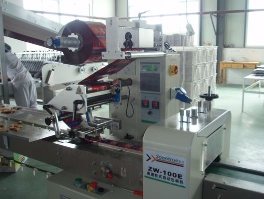 Automatic Hot Ink Roll Coder with 20 Characters per Line and 1 Year Warranty for Expiry Date Printing